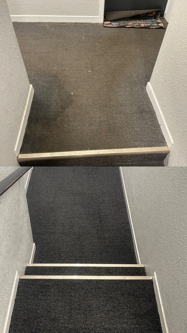 Carpet - 07.15.26