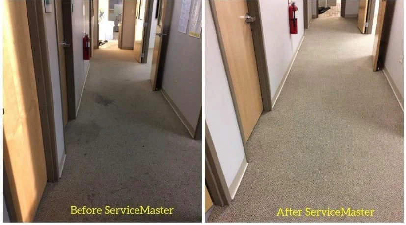Bye Stains. Hello Clean Carpet! :)