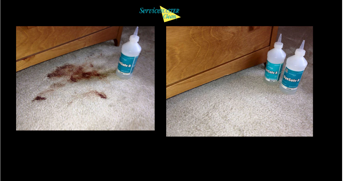 Carpet Stain Removal.